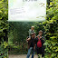 Drôles de singes