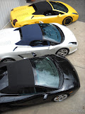 Lamborghini Gallardos