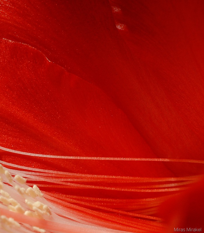[_DSC0187k%255B4%255D.jpg]