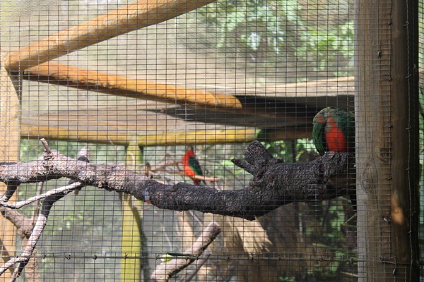 [IMG_0244_resize3.jpg]