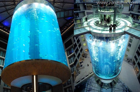 AquaDom2 AquaDom2