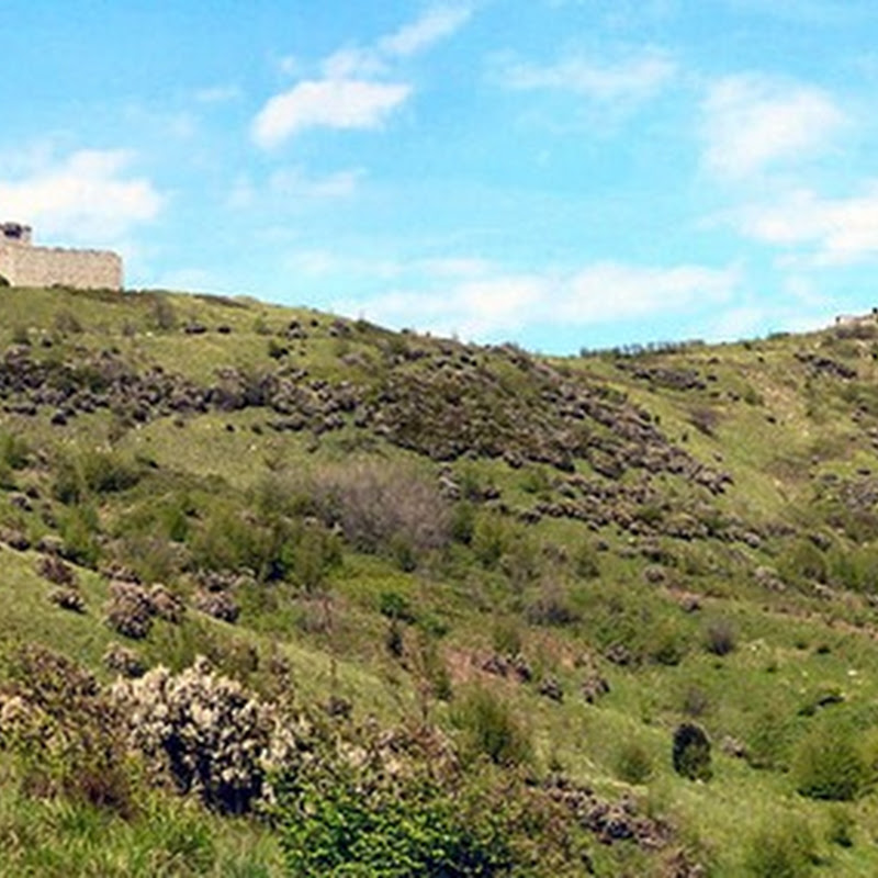 The forts of Genoa are a set of military fortifications dating back to different eras in defense of the urban area.