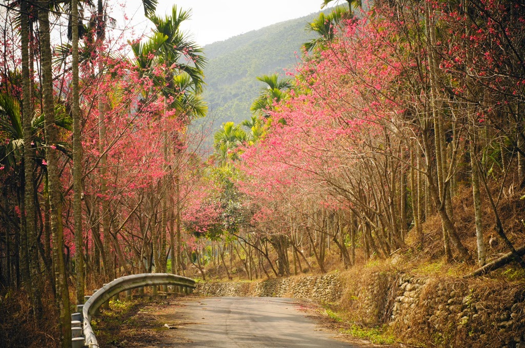 [DSC07258%255B4%255D.jpg]