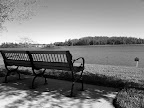 IMG_20120103_120544.jpg