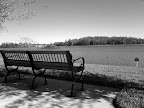 IMG_20120103_120544.jpg