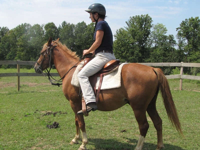 [IMG_5550-800x6004.jpg]