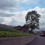 img178.jpg
