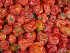 Markt, Katsina