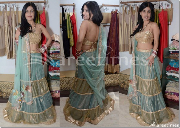 Blue_Green_Netted_Lehenga Blue_Green_Netted_Lehenga