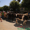 DesfiledeCarrosdeBois2011-034.jpg