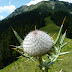 2011.07.10. - M&M na Dovški Babi