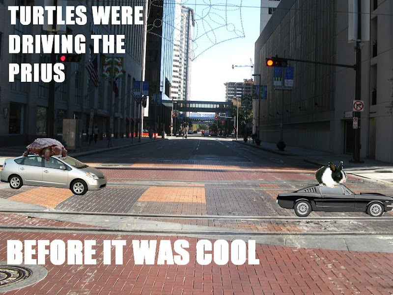 Turtles were driving the prius before it was cool