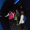 IMGP5564.JPG