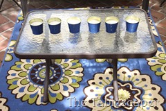 Patio Makeover 019