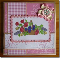 IMG_2215b IMG_2215b