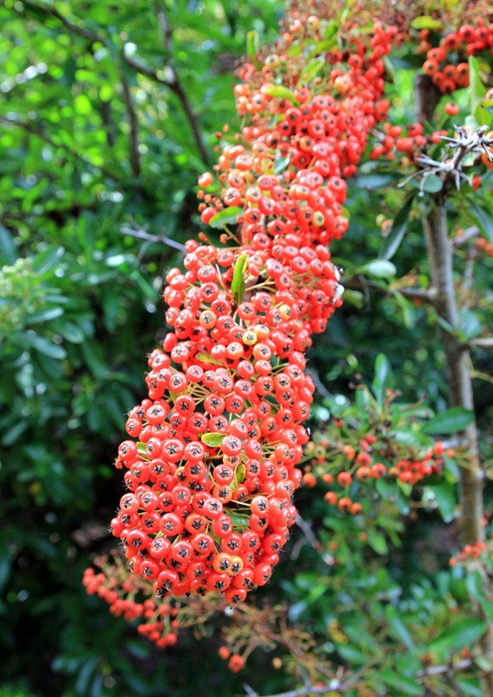 [IMG_8448%255B4%255D.jpg]