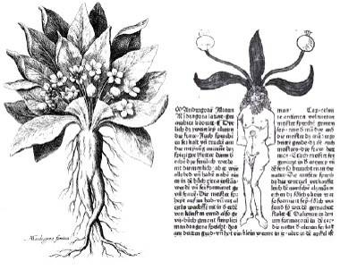 [clip_image005%255B3%255D.jpg]