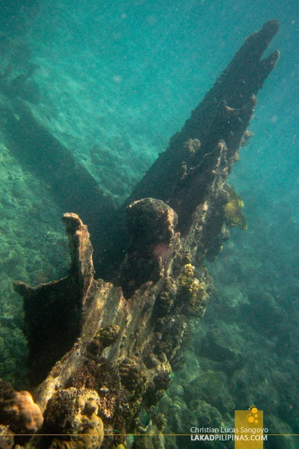 Japanese Wreck at Malapascua Island Hopping and Snorkeling