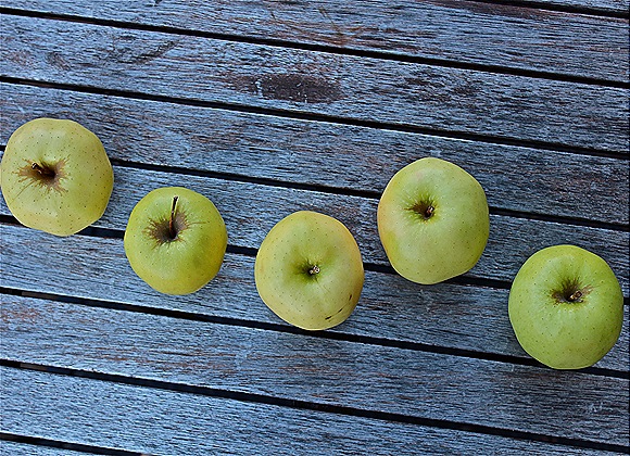 Apples, all lined up