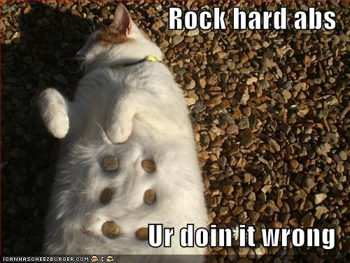 [funny-pictures-your-cat-has-rock-hard-abs%255B8%255D.jpg]