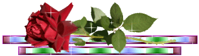 BarrinhaHorizontal2