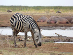 Manyara Nationalpark