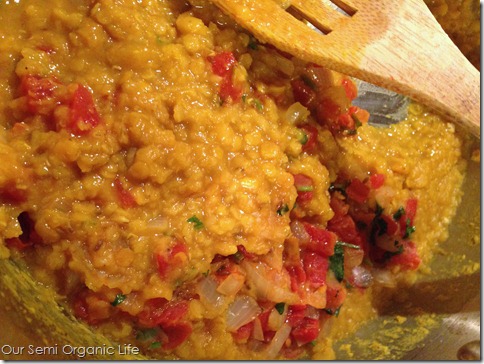daal 2 daal 2