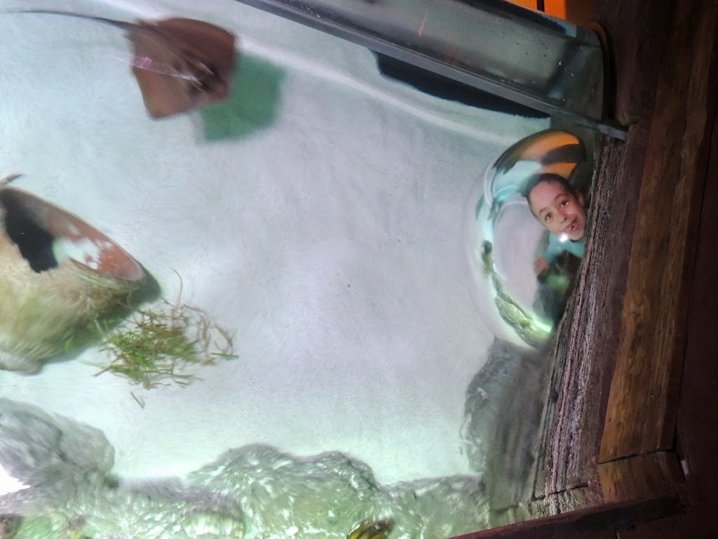 [DSCN8763%255B3%255D.jpg]