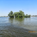 IMG_7783.JPG