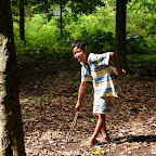 So liest man die Mandeln vom Boden auf.