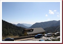 IMG_4896 IMG_4896