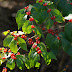20101024_4
