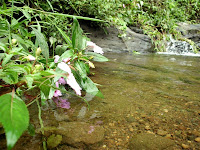 IMG_0914.JPG