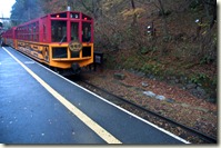 DSC_0330_1 DSC_0330_1