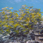 IMG_1255.JPG
