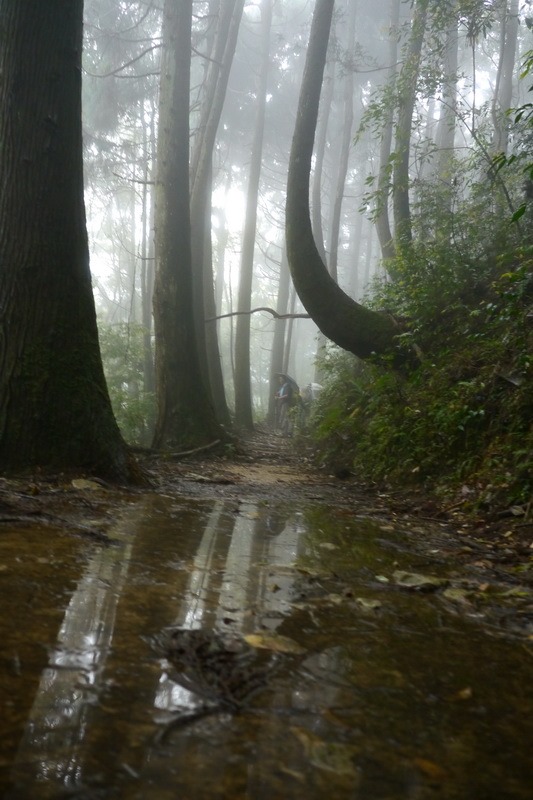 2013_0413 橫嶺山木馬古道_029 2013_0413 橫嶺山木馬古道_029