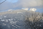 DSC_0813.JPG