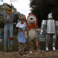 Scarecrows at Tamborine Mountain Scarecrow Festival