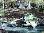 Hayes Creek, trail 496B
