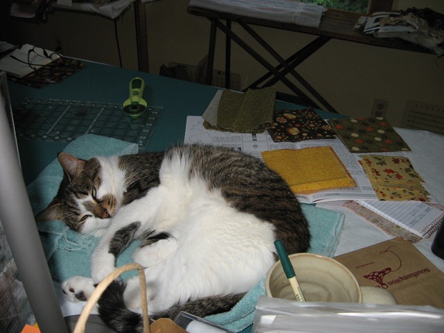 [IMG_2558%255B2%255D.jpg]