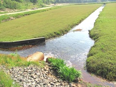 bog water rushing thru the flume pipe