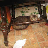 IMG_1196.JPG