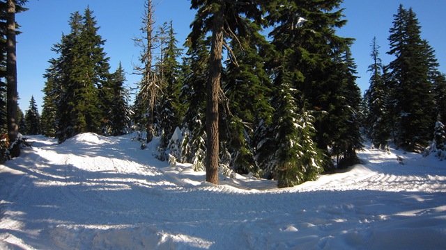 [IMG_6436%255B3%255D.jpg]
