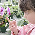 Paradis des Orchidées