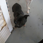DSCN4683.jpg