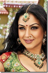 Telugu Actress Maryam Zakaria Hot Spicy Stills