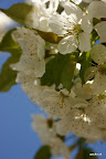 img_0005.jpg
