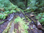 columbia_river_gorge