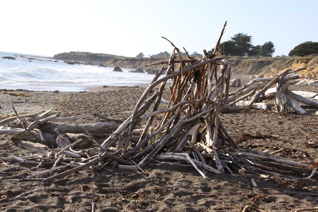 [driftwoodsculpture1%255B3%255D.jpg]