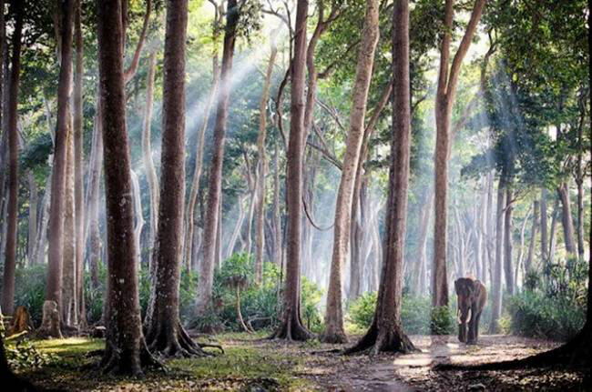 Best picture by Travelers